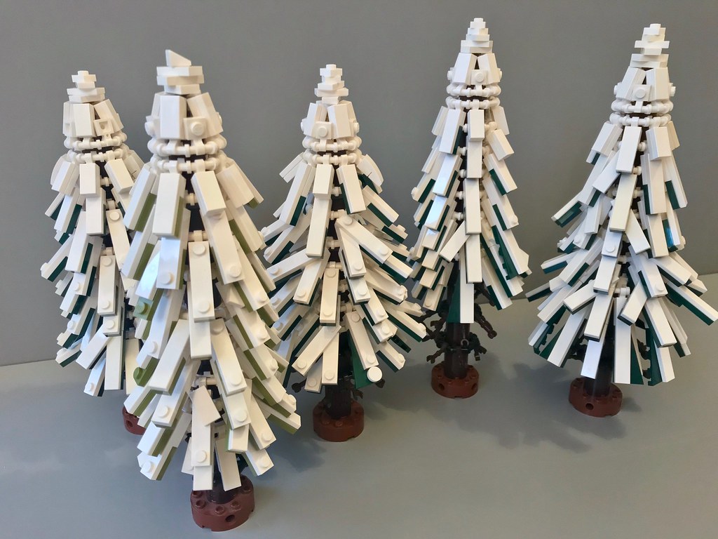 Winter Pine Tree